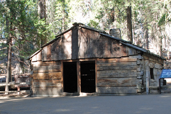 Fallen Monarch, Grant Grove, Kings Canyon National Park, California