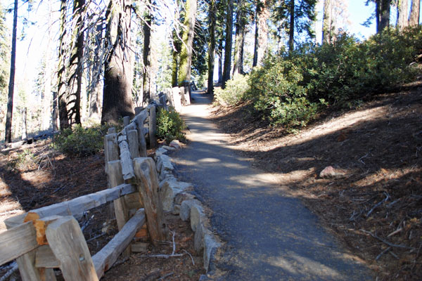 Panoramic Point trail, Kings Canyon National Park, California