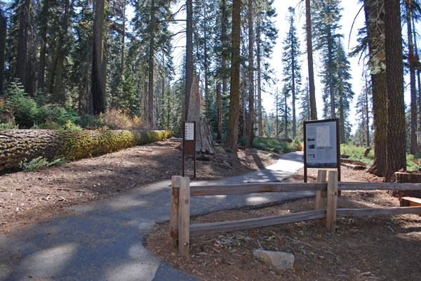 Panoramic Point trailhead, Kings Canyon National Park, California