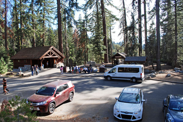 general Sherman Tree, Sequoia National Park, California