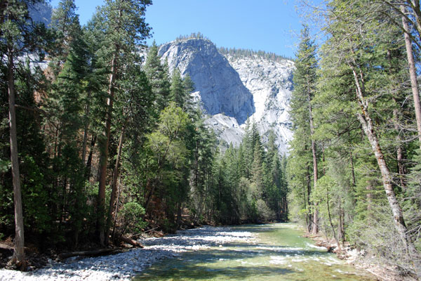 General Grant Tree, Kings Canyon National Park