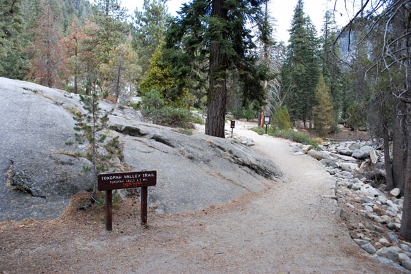 Tokopah Falls trailhead, Sequoia National Park, California