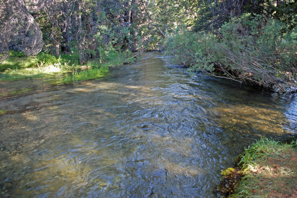 Parker Creek, June Lake Loop, California