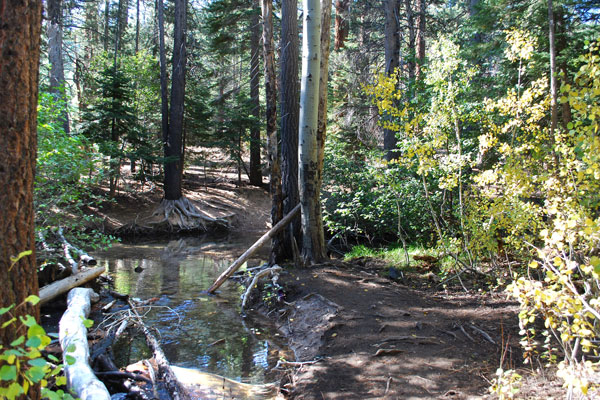 Sherwin Creek, Mammoth Lakes, CA