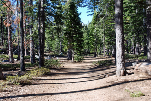 Cascade
Falls trail, South Lake Tahoe