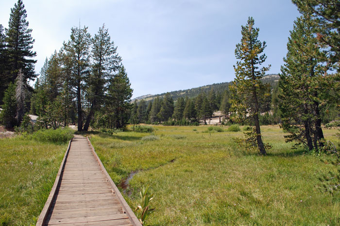 Tahoe Meadows Interpretive Trail, Nevada