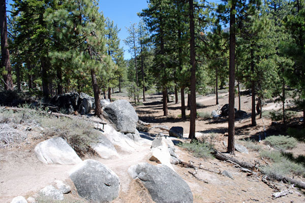 Van Sickle Bi-State Park, South Lake Tahoe