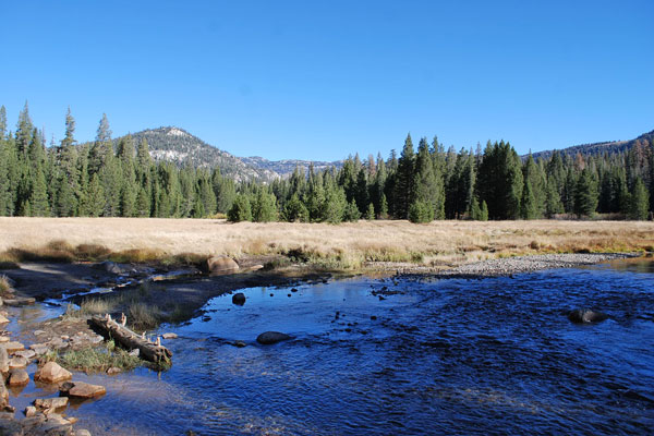 meadow at Devils Postpile National Monument, California