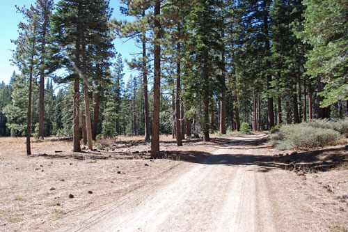 General Creek trail, Sugar Pine Point State Park, Lake Tahoe, CA