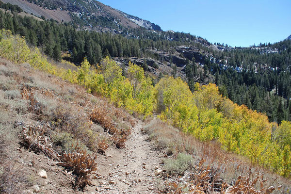 Heart Lake trail, Mammoth Lakes, CA