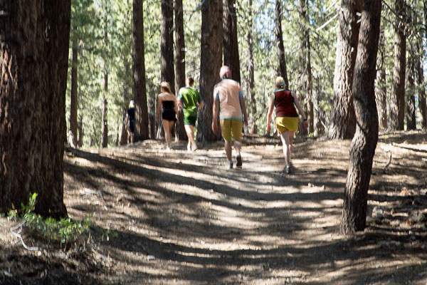 Inyo Craters trail, Mammoth Lakes, California