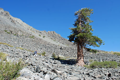 Mt. Trallac trail by South Lake Tahoe and Fallen Leaf Lake, CA